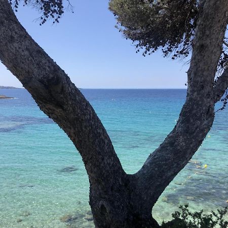 Les Baux 2 Sanary Sur Mer Exterior foto